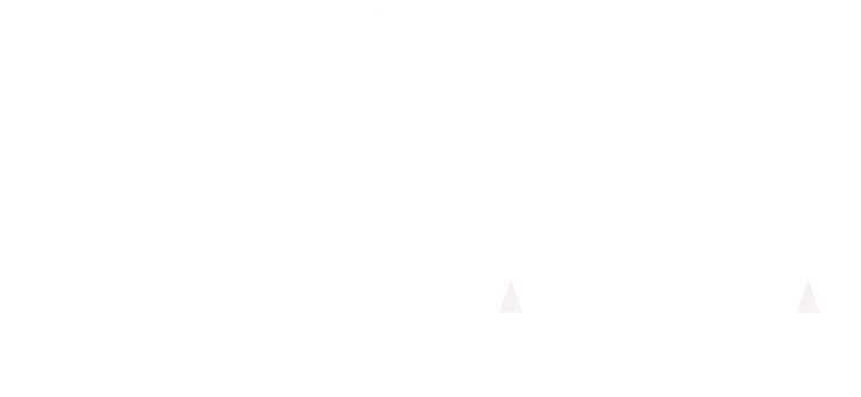 TM Pipaliya Branding logo